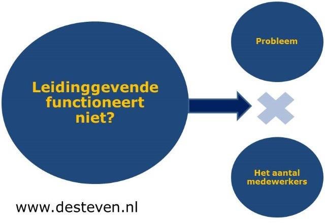 Disfunctioneren leidinggevende of manager