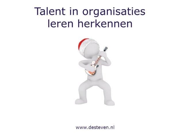 Talent in organisaties herkennen