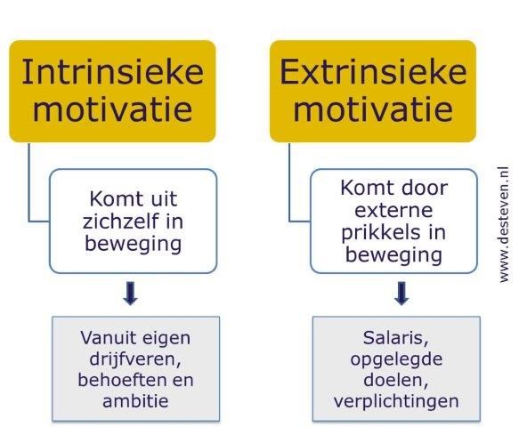 Extrinsieke motivatie