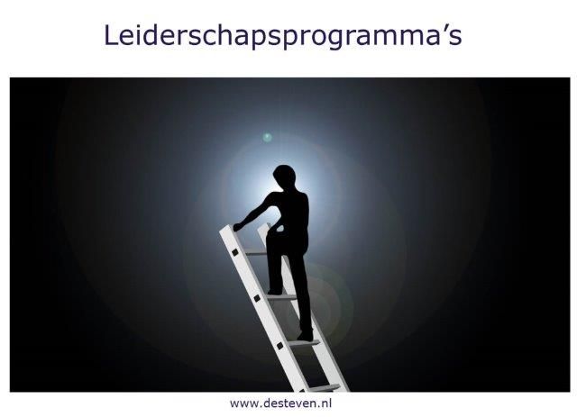 Leiderschapsprogramma