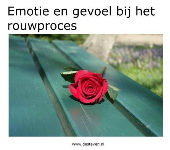 Emotie en gevoel bij rouw