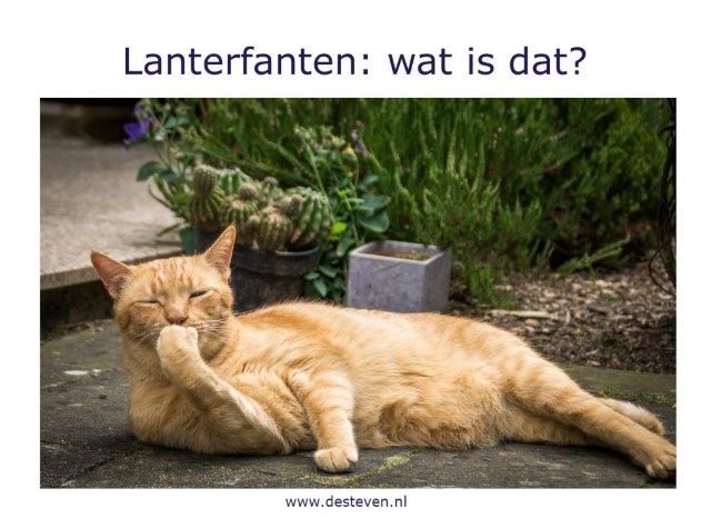 Lanterfanten: methode om te onthaasten