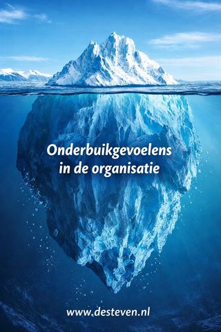 Onderbuikgevoelens in de organisatie