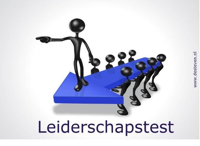 Leiderschapstest online