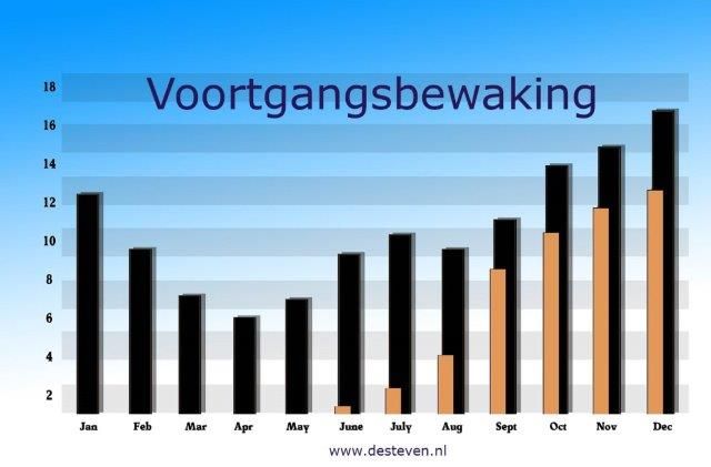 Voortgangsbewaking